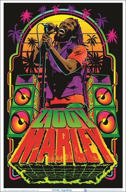 Fuzzy Posters